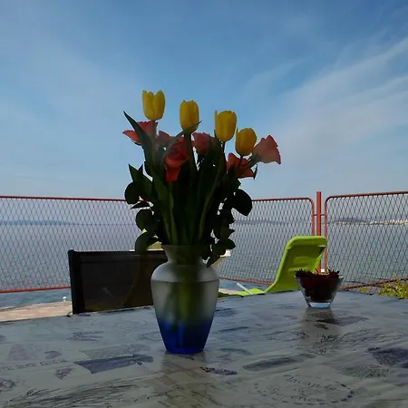 Apartment Aneta