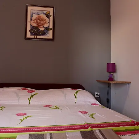 Apartment Aneta Podstrana