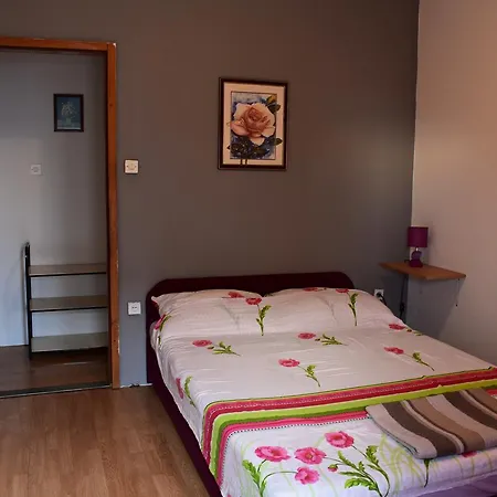 Aneta Apartment *